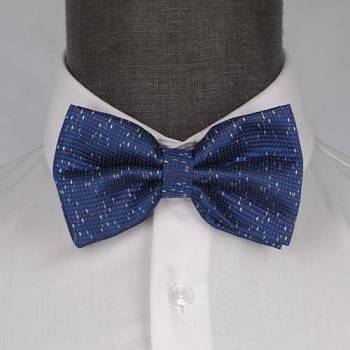 Бабочка мужская с платком 0035