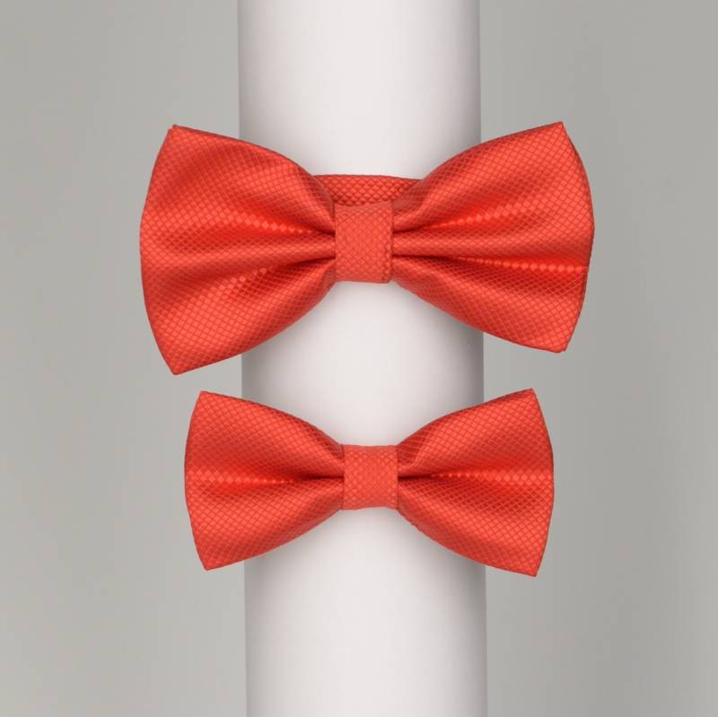 Бабочки FamilyLook 0002